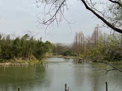 -西溪国家湿地公园