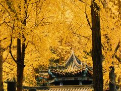 -成都市文殊院