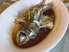 -金陵食府(林景店)