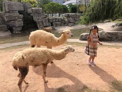-灵玲国际马戏城