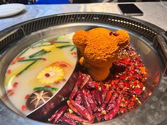 鸳鸯锅-红辣椒·川菜·火锅(朝外店)