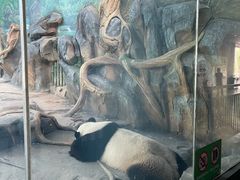 -武汉动物园