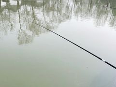 -尚庄度假村·庭台树下·户外烧烤·团建CS·轰趴营地(上庄水库店)