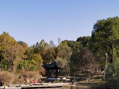 -月湖风景区