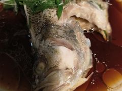 -云中小雅