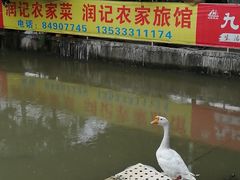 -润记农家菜