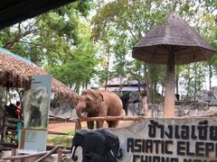 -清迈夜间动物园