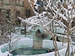 -清河半岛温泉度假酒店