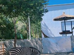 -水上乐园·欢乐世界