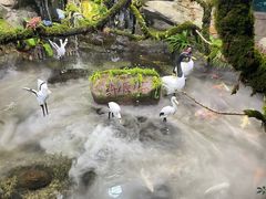 -南昌海洋公园