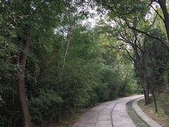 -淄博聊斋城景区