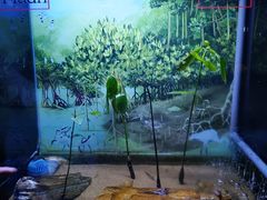 -欢乐海岸海洋奇梦馆