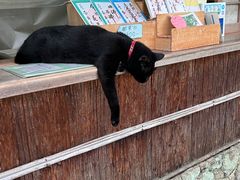 -常寂光寺