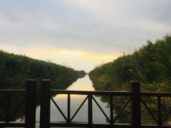 -黄海国家森林公园