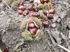 -终南山南五台景区