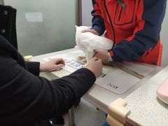 -伟伟宠物医院·瑞派猫友好医院·猫科(光谷店)