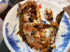 黄辣丁-姥家大锅台水库渔家