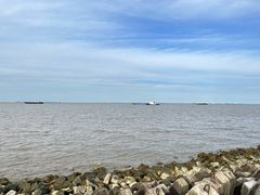 -上海滨江森林公园