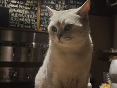 -后院儿·精酿·塔罗Happy Bar