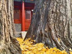 -承恩寺