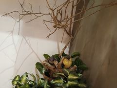 -湘当爱·鲜煮现炒(松岗立业路店)