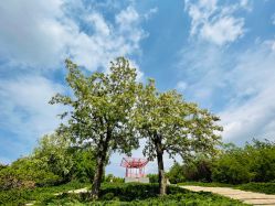 -大望京儿童游乐场