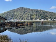 -腾冲北海湿地