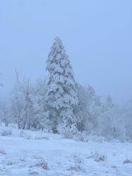-大秃顶子山
