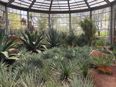 -南通洲际绿博园