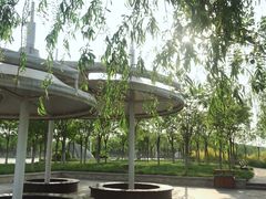 -天津东丽湖风景区