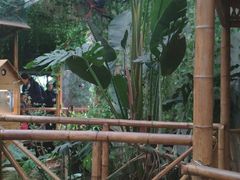 -上海大自然野生昆虫馆(东方明珠·爬宠昆虫探索中心)