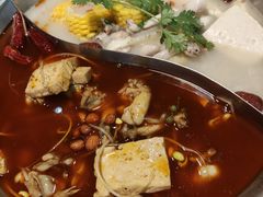 -麻田会 ·鲜活现烹·牛蛙火锅(珠江新城维家思广场店)