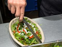 -油梨树AVOCADO TREE(顺义新国展店)