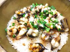 -红星光发煲仔饭(文海店)