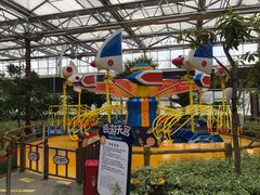 -南宫五洲植物乐园