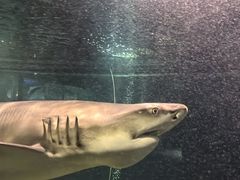 -嘉兴海底世界