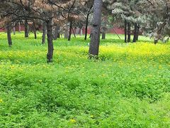 -北陵公园