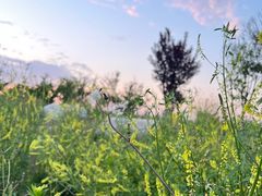 -汉长安城未央宫国家考古遗址公园