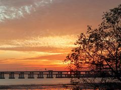 -宝安西湾红树林湿地公园