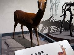 -大庆市博物馆