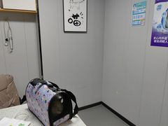 -半岛宠物医院24小时(科华中路店)