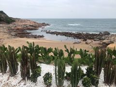 -广东惠东海龟国家级自然保护区