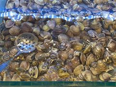 -罗马假日海鲜自助餐厅(星湖广场店)