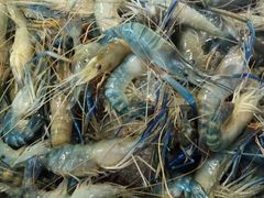 -芭提雅Amporn Seafood自助餐厅