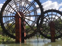 -盐城丹顶鹤湿地生态旅游区