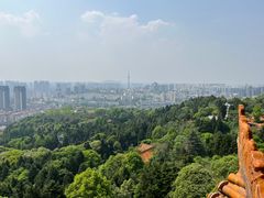 -富乐山