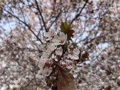 -汉长安城未央宫国家考古遗址公园