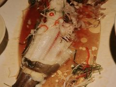 -三强鸽子(胜利路店)