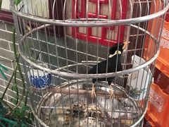 -五悦北平四季涮肉·烧烤(老商埠店)