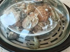 -港畔赶海蒸汽海鲜烧烤自助(仙螺岛店)